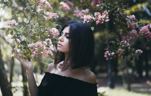 Trees, flowers, branches, haircut, brunette