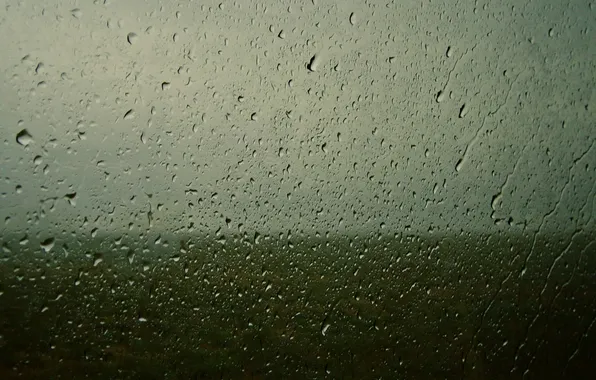 Greens, field, the sky, drops, photo, background, rain, mood