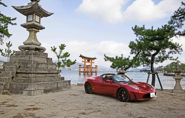 Picture the sky, red, tree, shore, Roadster, Roadster, sports car, the front