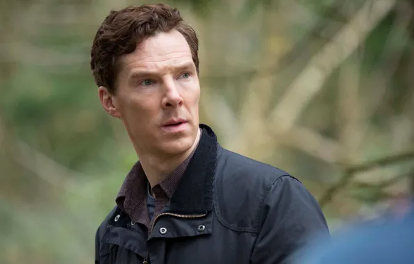 Picture actor, Benedict Cumberbatch, Benedict Cumberbatch