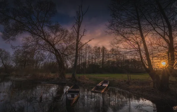Picture trees, shore, boat