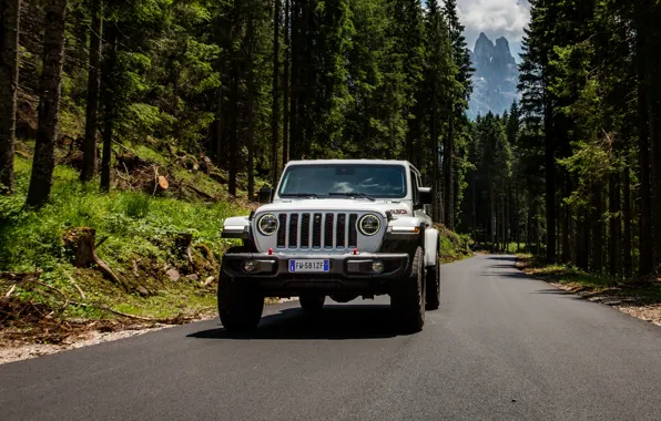 Picture white, SUV, pickup, Gladiator, 4x4, Jeep, Rubicon, on the road