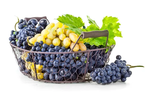 Leaves, basket, grapes, white background