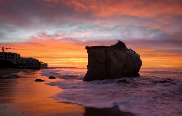 Sea, wave, beach, clouds, sunset, birds, rock, shore