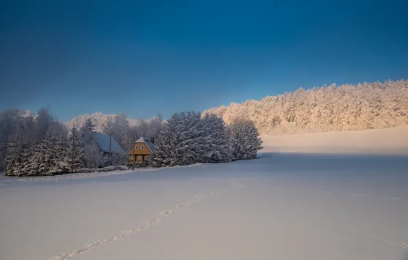Winter, forest, the sky, traces, house, Snow