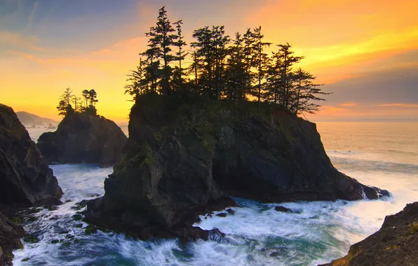 Picture trees, the ocean, rocks, dawn, Oregon, USА, Carpenterville