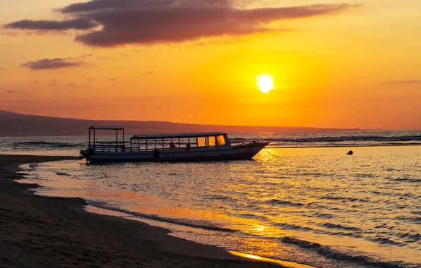 Sea, landscape, shore, boat