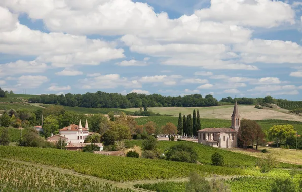 Picture France, field, home, Gaillac
