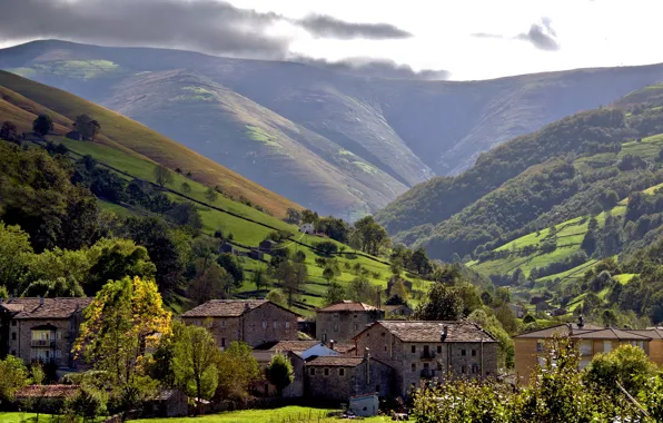 Picture forest, trees, mountains, valley, slope, meadow, house, Sunny
