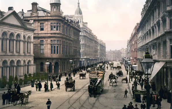 Picture the city, street, old photo, Ireland, Belfast, Belfast, Old City, Royal Avenue