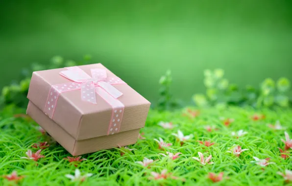Greens, gift, weed, Holiday