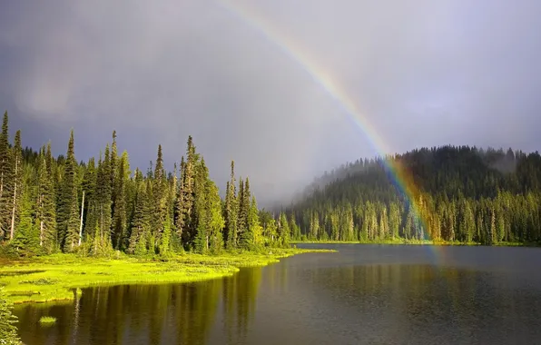 Forest, the sky, trees, landscape, mountains, nature, fog, lake