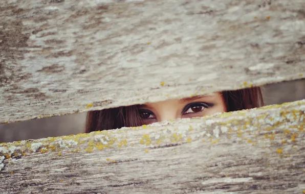 Eyes, girl, the fence