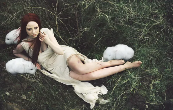 Picture girl, background, rabbits