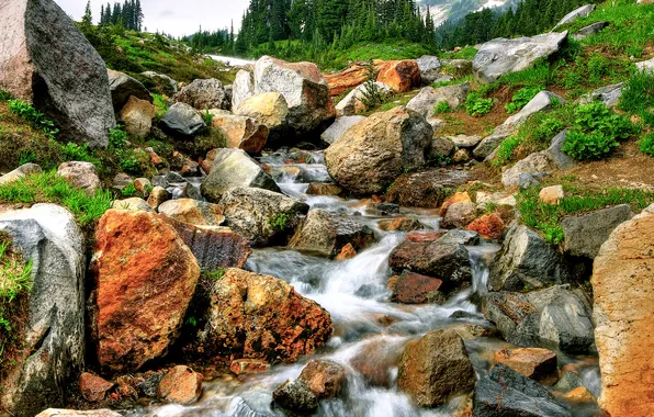 Grass, trees, mountains, river, stones, stream