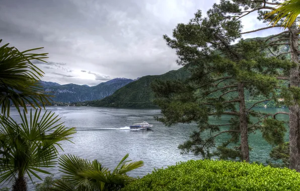 Picture greens, trees, mountains, branches, lake, hdr, boat, Italy