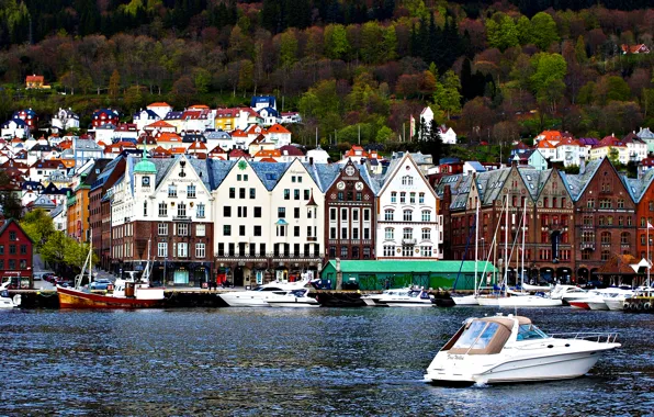 Picture landscape, home, Norway, Bergen, the North sea coast