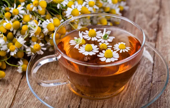 Tea, Daisy, flowers