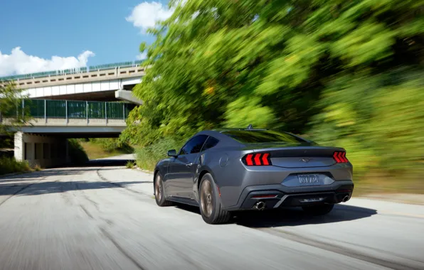 Car, Mustang, Ford, road, speed, 2024, Ford Mustang EcoBoost