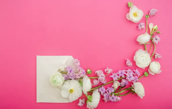 Flowers, petals, pink, white, white, pink, flowers, composition