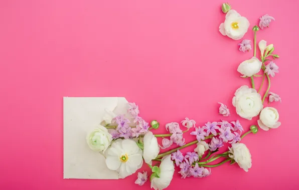 Picture flowers, petals, pink, white, white, pink, flowers, composition