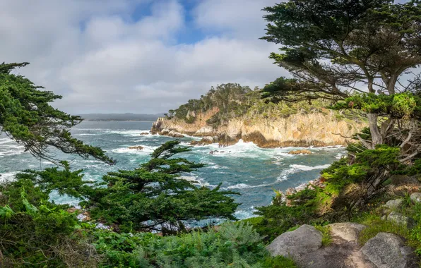 Picture rock, CA, panorama, USA, Trail Point Lobos