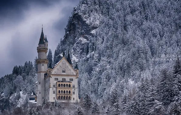 Picture winter, forest, snow, mountains, castle, Germany