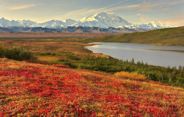 Picture water, mountains, meadow