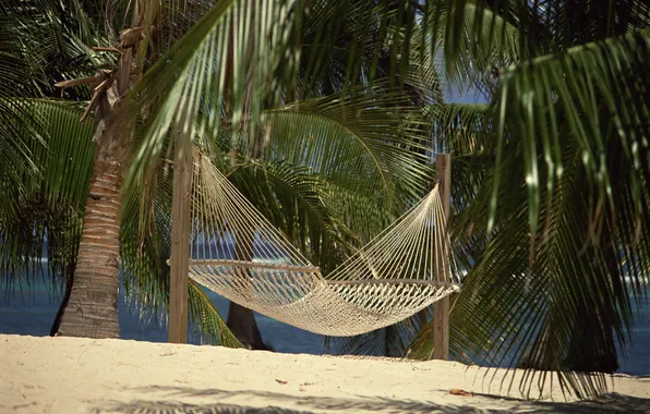 Sand, beach, palm trees, hammock