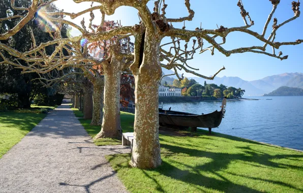 Trees, Italy, lake Como, Bellagio