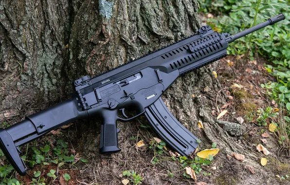 Weapons, machine, trunk, Beretta ARX-160
