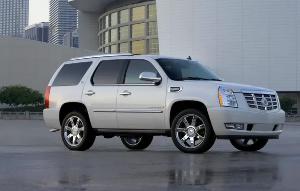 Picture Cadillac, Auto, White, Asphalt, Jeep, Side view, escalade, Wet