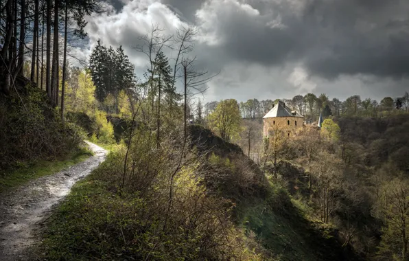 Wallpaper road, forest, castle