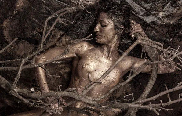 Erotic, chest, girl, branches, face, pose, the dark background, background
