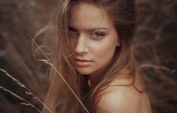 Portrait, sponge, the beauty, kassio. epia