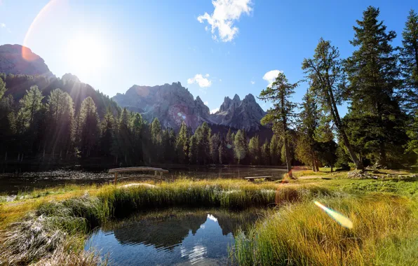 Forest, grass, the sun, rays, light, mountains, lake, reflection