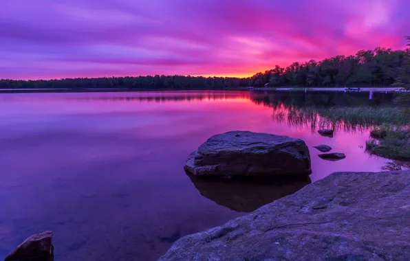Picture forest, lake, stones, lilac, dawn