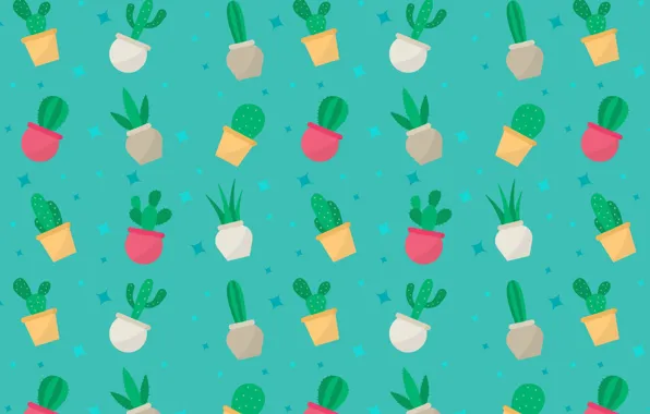 Flowers, background, cacti