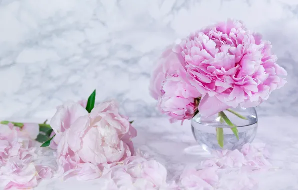Flowers, Board, bouquet, petals, vase, pink, placer, light background