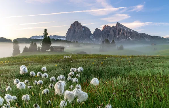 Picture field, mountains, nature, fog, morning