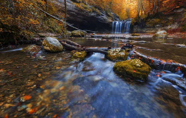 Picture autumn, forest, leaves, waterfall, stream