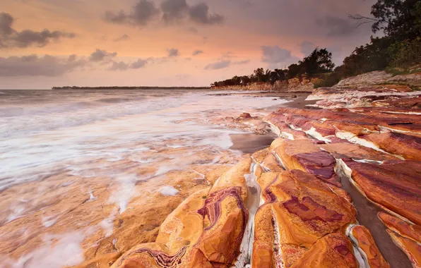 Sea, landscape, shore