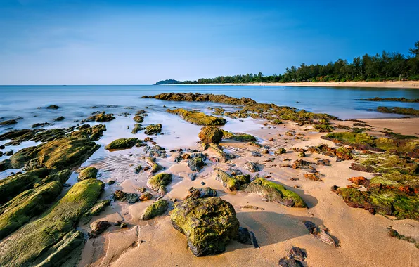 Picture sea, the sky, trees, stones, rocks