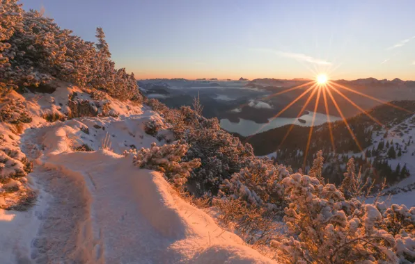 Winter, snow, sunset, mountains, Germany, Bayern, path, the bushes