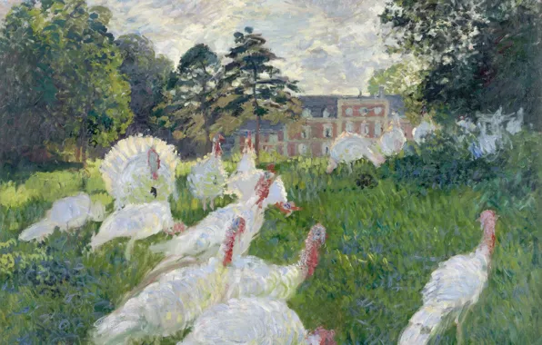 Landscape, birds, picture, Claude Monet, Turkey