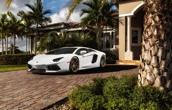 White, palm trees, Lamborghini, before, white, mansion, Lamborghini, front