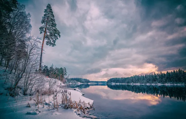 Picture winter, snow, landscape, clouds, nature, river, frost, forest