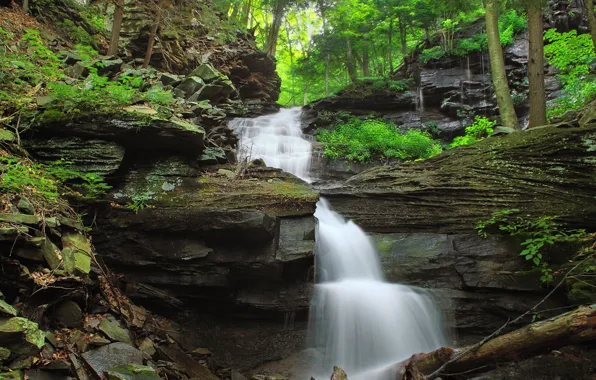 Water, Nature, Stream, Waterfall, Rocks, Trees, River, Forest