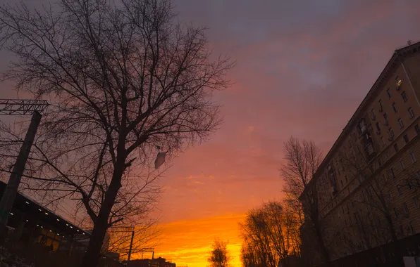 The sky, clouds, trees, dawn, building, home, morning, Moscow