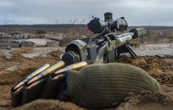 Sniper rifle, Lithuania, Pabradė pagėgiai pakruojis